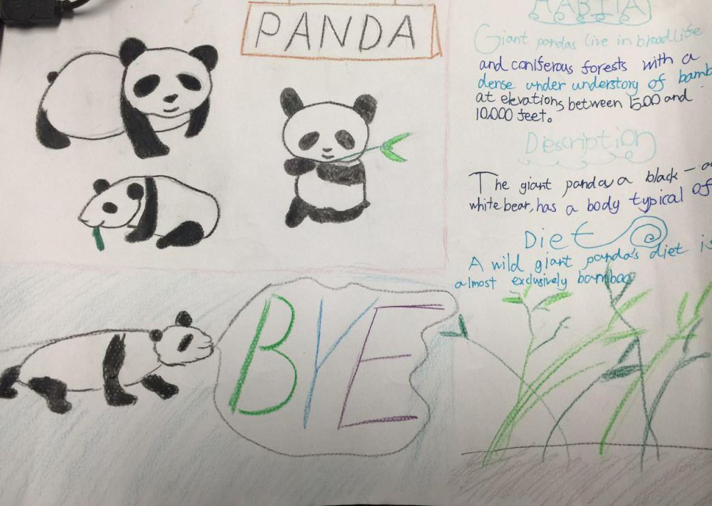 熊猫（Panda）英语手抄报