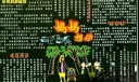 祝福母亲节黑板报：妈妈想你