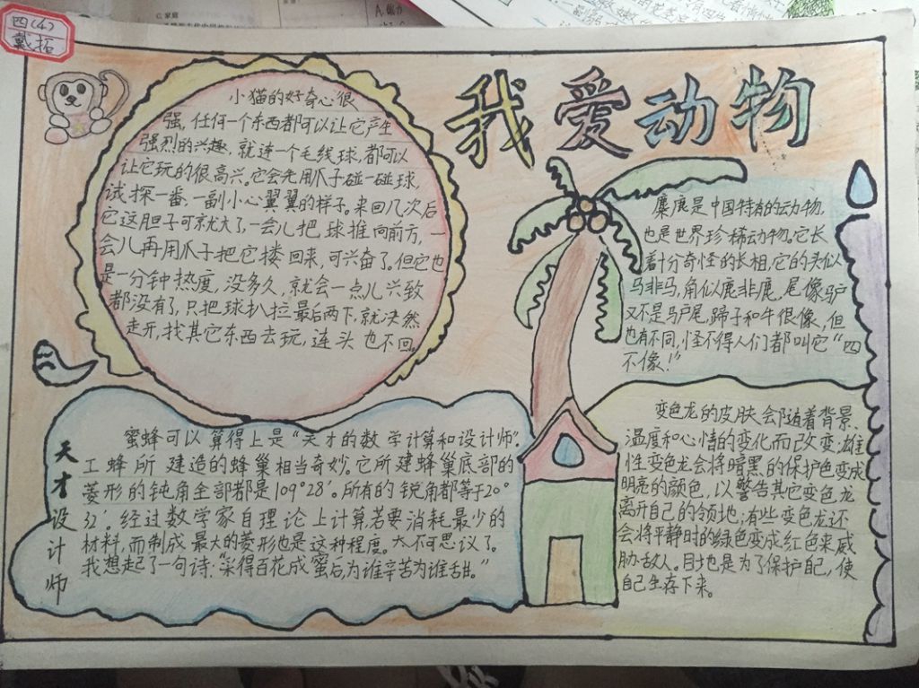 我爱动物手抄报图片