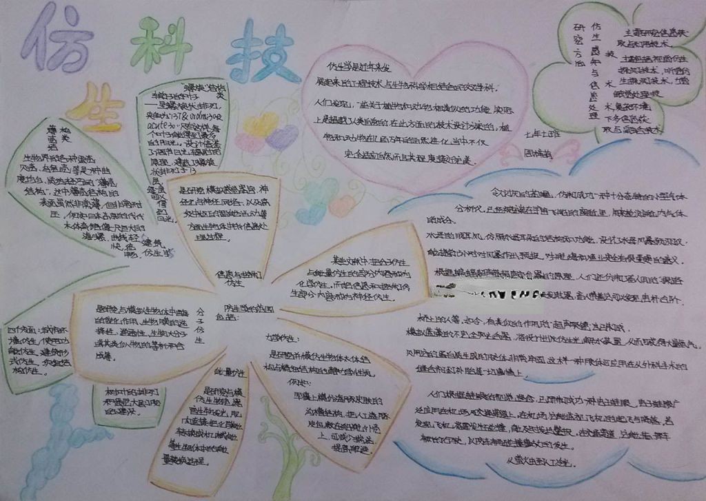 仿生科技手抄报图片大全