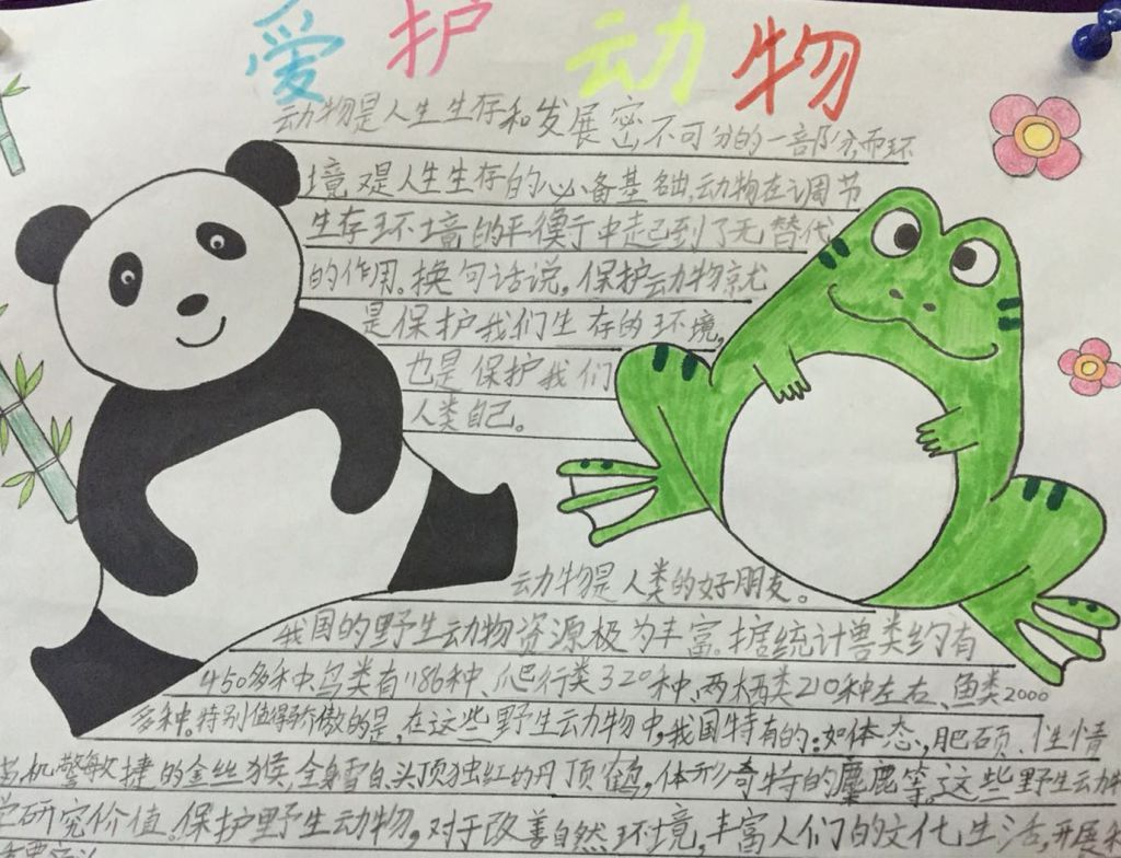 爱护野生动物手抄报设计图