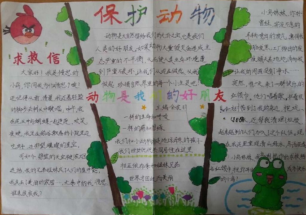 保护动物小报设计图