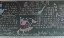 爱国卫生月黑板报-精品推荐