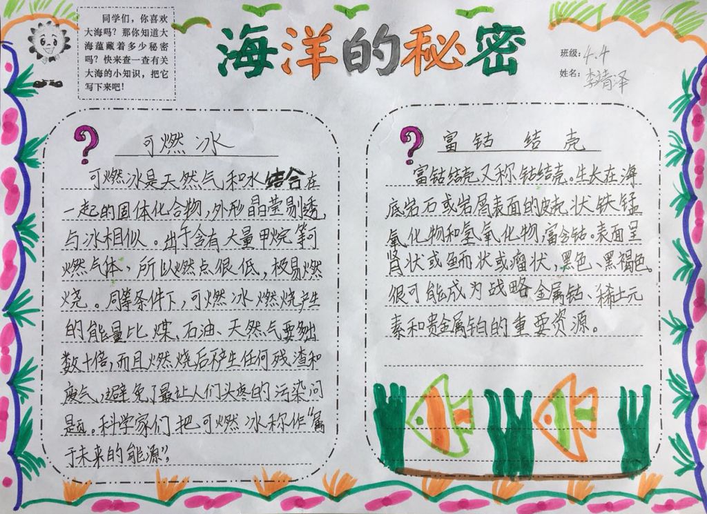 海洋的秘密手抄报图片大全