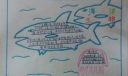 海洋生物手抄报图片