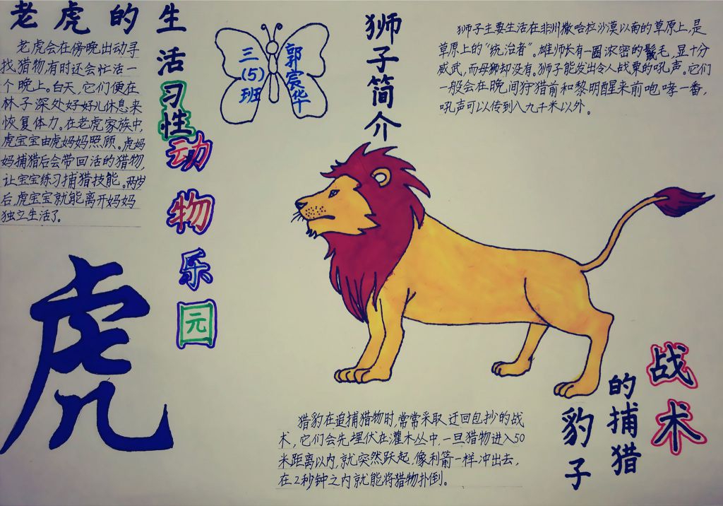 猛兽动物乐园手抄报图片