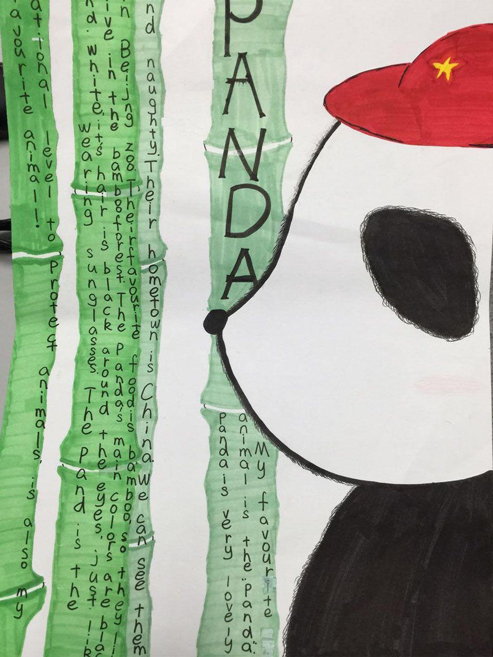 熊猫（Panda）英语手抄报