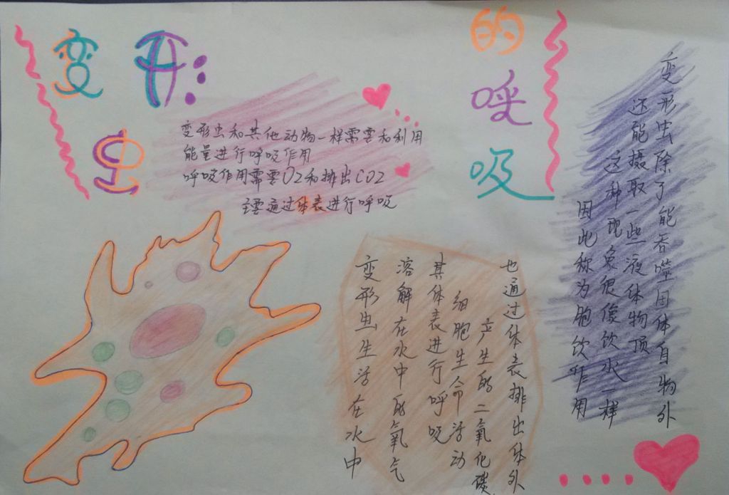 生物的呼吸手抄报