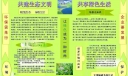 2022年6.5环境日板报