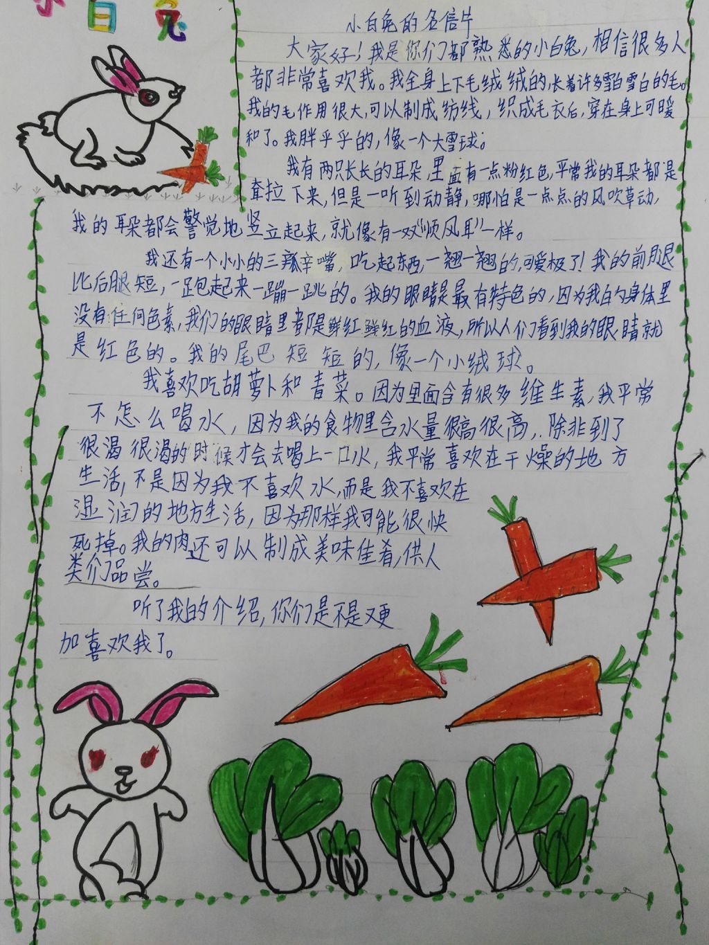 小白兔名片手抄报