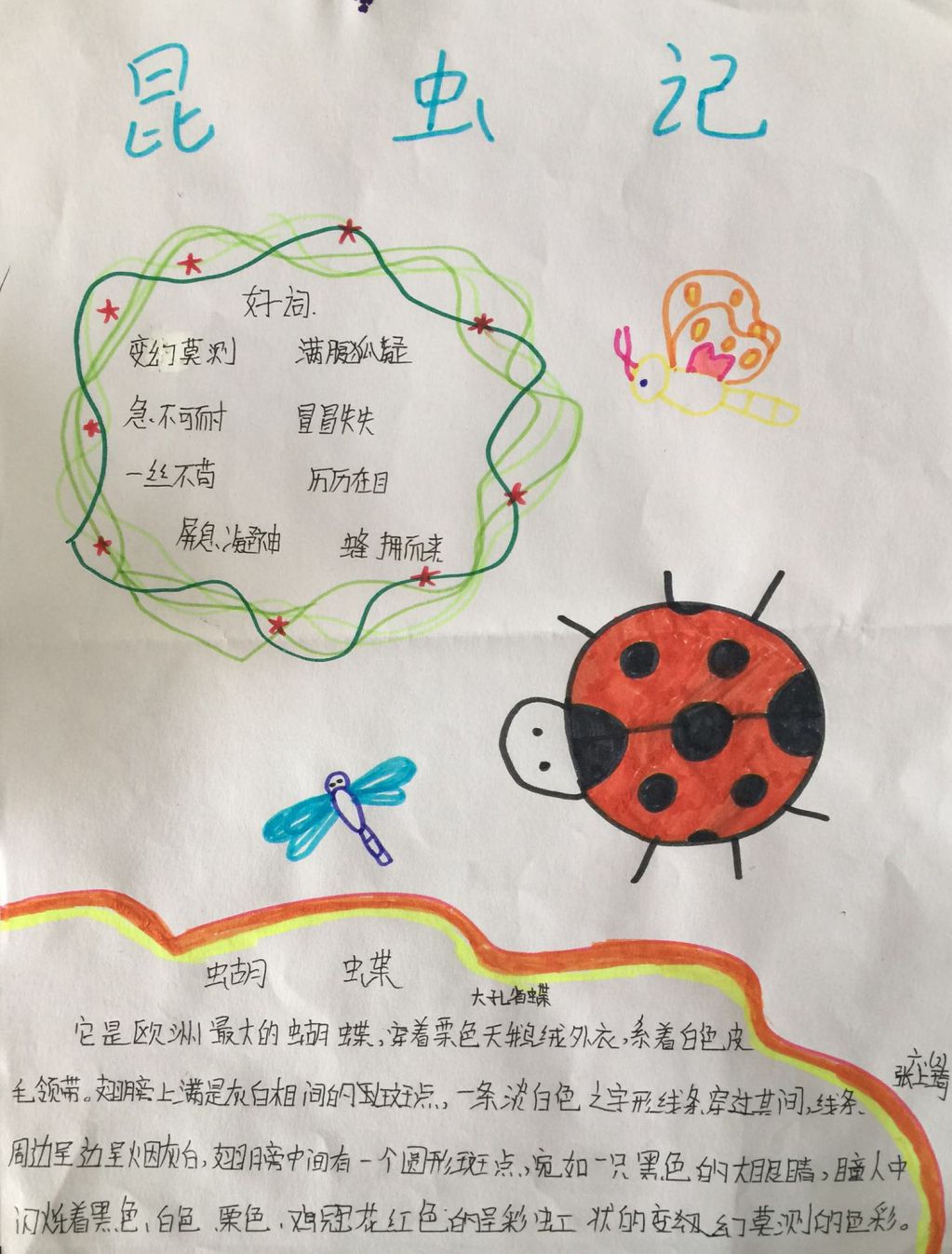 昆虫观察日记手抄报
