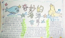 有关海洋生物的手抄报