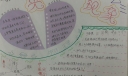 光现象手抄报作品