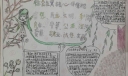 社会主义核心价值观优秀手抄报