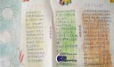低年级仿生学手抄报作品