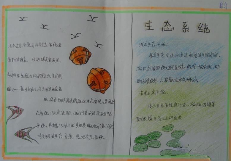 生态系统手抄报设计图