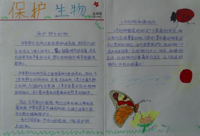 保护生物手抄报欣赏
