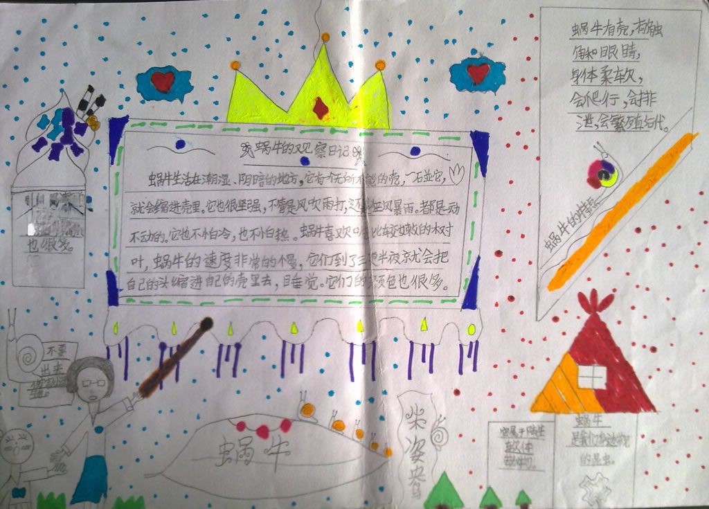 一组关于小动物的手抄报