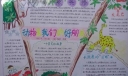 动物是我们的好朋友手抄报图片