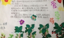 有关草莓的手抄报