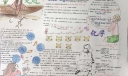 走进多姿多彩的化学世界手抄报