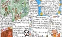 动物小说手抄报图片