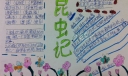 小学生昆虫记手抄报