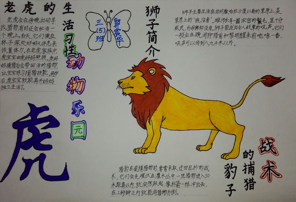 动物乐园手抄报