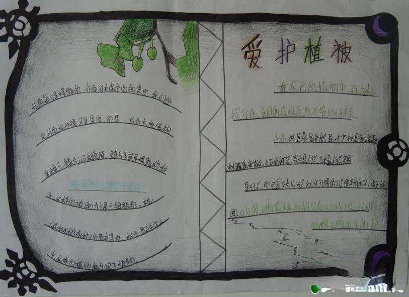 爱护植被主题手抄报设计图