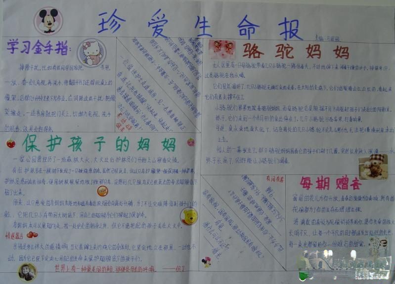 保护生命报手抄报图片