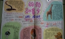 动物知多少手抄报图片