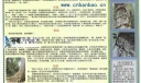 生物与环境的手抄报