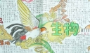 生物之家手抄报图片