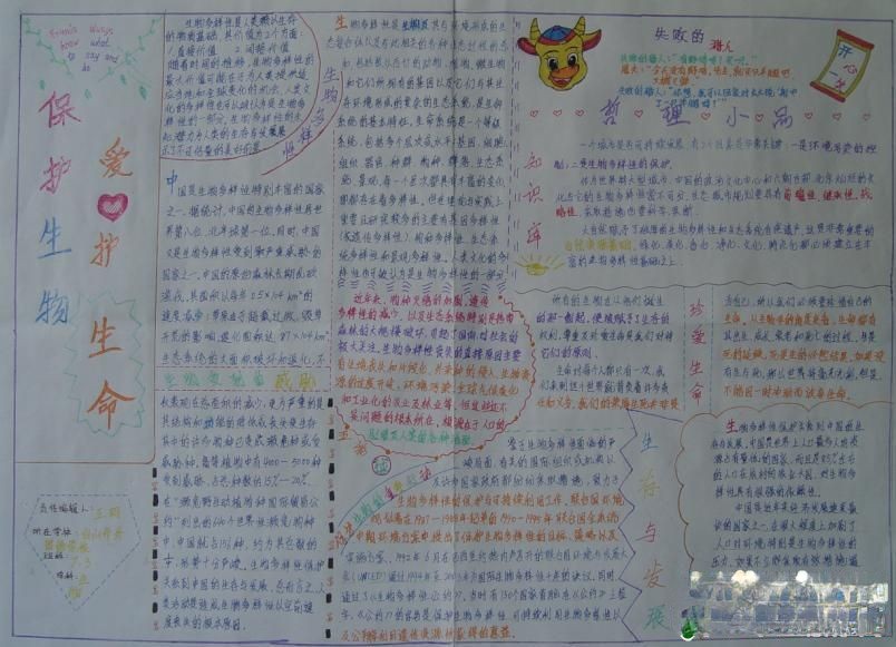 保护生物爱护生命手抄报图片 保护生物爱护生命手抄报图片