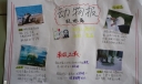 极地动物手抄报
