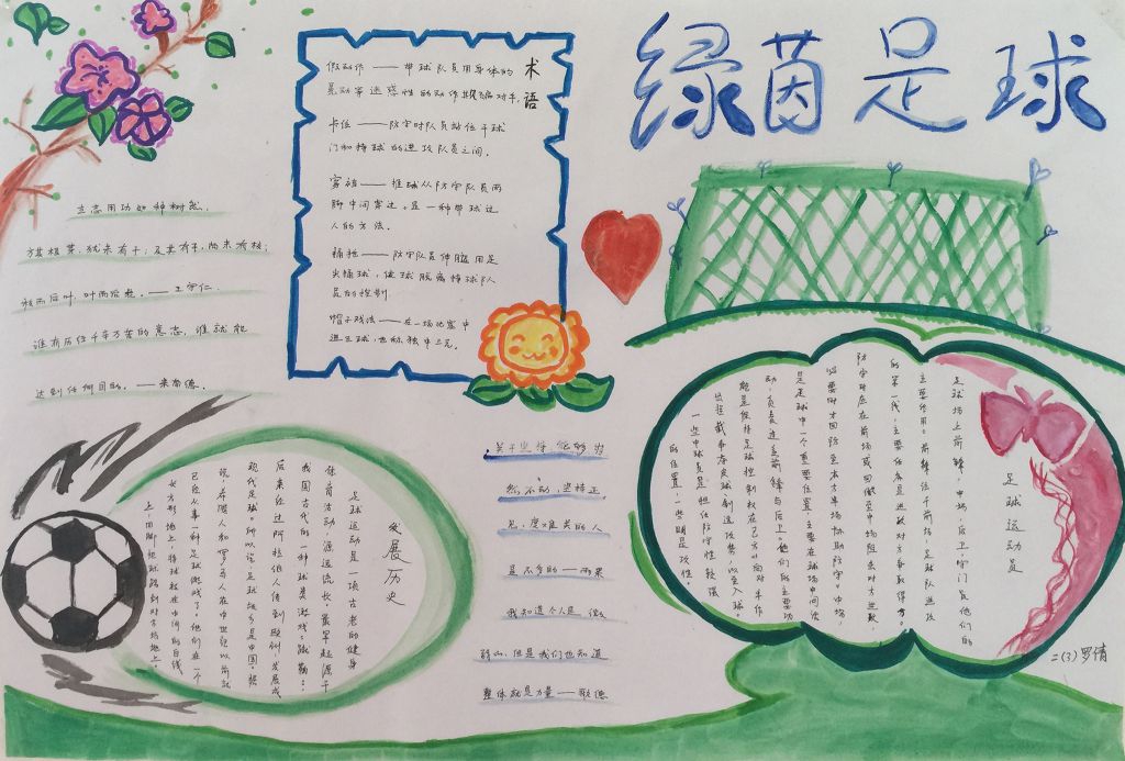 绿茵足球手抄报图片大全