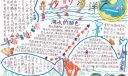 奇妙的海洋手抄报