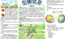 生物电子手抄报下载