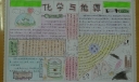 化学手抄报图片