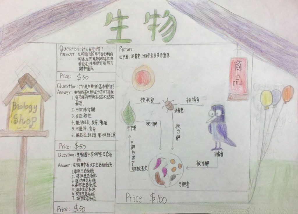 走进生物世界手抄报