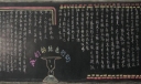 我们的绿色行动黑板报