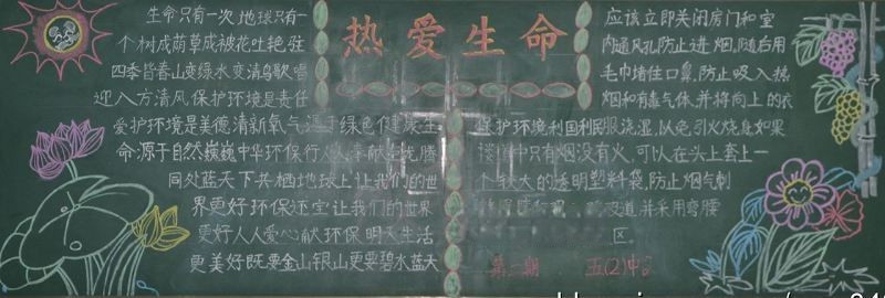 热爱生命关注卫生与健康黑板报