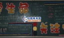 关爱生命关注安全黑板报