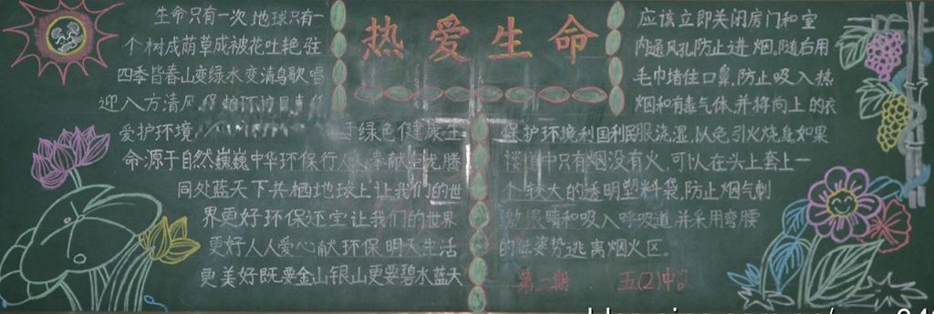 食品安全与健康黑板报
