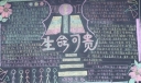 交通安全专题黑板报：生命可贵