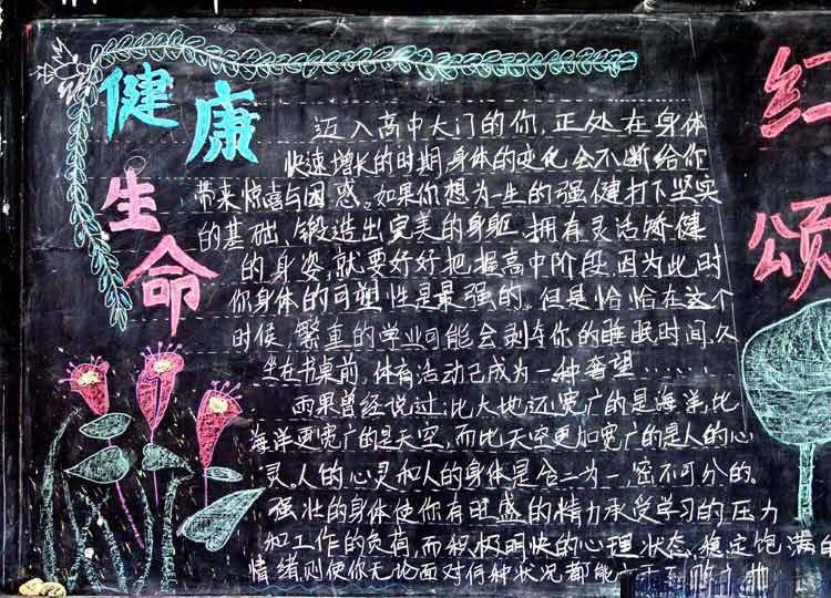 小学生健康黑板报：健康与生命