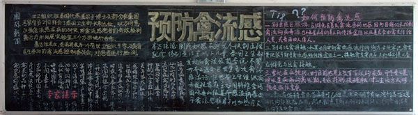某中学防治禽流感黑板报宣传专栏2