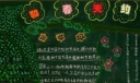 和春天有个约会主题黑板报