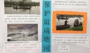 保护温瑞塘河手抄报