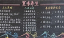 夏季养生黑板报图片